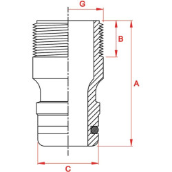 Greito sujungimo sriegis 1/4 colio GA2920