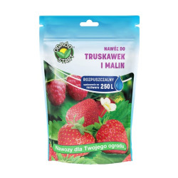 Trąšos braškėms ir avietėms, 250 g, tirpios 1707599002