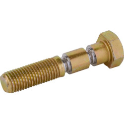 Saugus varžtas 690152045