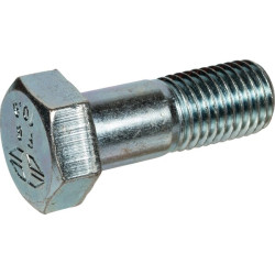 Varžtas H formos M20x55 10,9 1116169DK