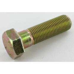 Varžtas M16x1,5x55 Maschio F01010115R