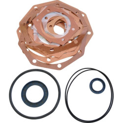 Šarnyras Maschio F03100071R