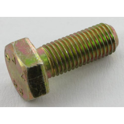 Varžtas M10x1,25x25 F01010244R