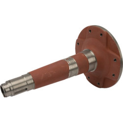 Stebulė, vertikali Z1100480