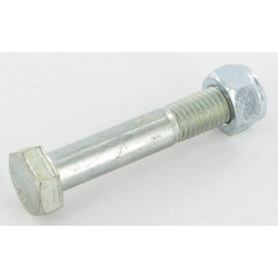 Varžtas M14x80 Evers 994081