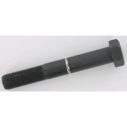 Apsauginis varžtas M16x1,5x110 8,8 70050300
