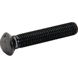 Balnelio varžtas M12x70 CP7043