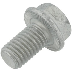 Plūgo varžtas 12x20mm 10.9 00360414N