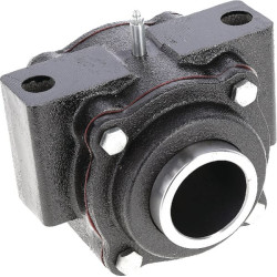 Guolio korpusas 17100404B