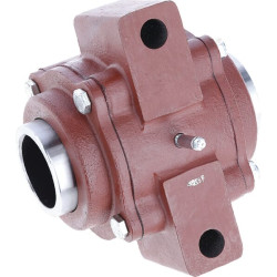 Guolio korpusas 17100037T