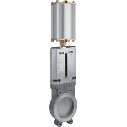 Peilio vožtuvas 6" SS + pneumatinis cilindras 6012575