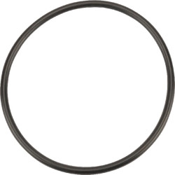 O formos žiedas 109,54x5,33 mm, 70 Shore EPDM, juodas, Battioni Pagani GG9100