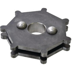 Pavaros žvaigras 24004840