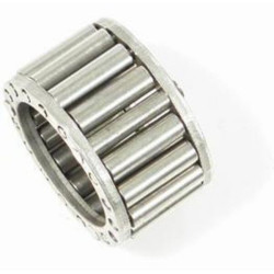 Ritininis guolis 10161014N