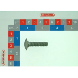 Varžtas trcc 8x35 30561058