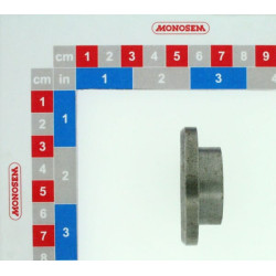 Krūmų / pasėlių noragėlis 41071082