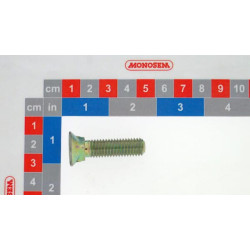 Varžtas TFCC 10x40 30572019