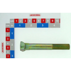 Visas varžtas (A101) 30072046