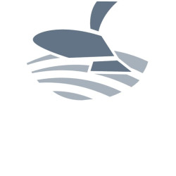 Sėklų noragėlis, priekinis 41651274612