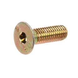 Nerūdijančio plieno varžtas 8x25 DD220