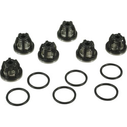 Vožtuvo plokštė 391670