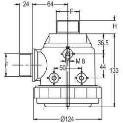 Siurbimo filtras 1 1/4"M 120 l/min 32 tinklelio 8077000