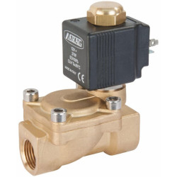 Solenoidinis vožtuvas 40 barų 481611
