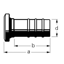 2 colių žarnos antgalis, 2 colių, Bauer 2244000