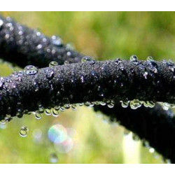 Lašelinė žarna Alfapore 15m SL555015