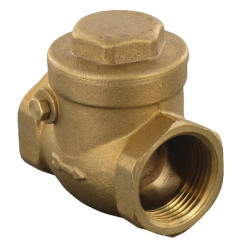 Vertikalus atbulinis vožtuvas 3/4" WK51062