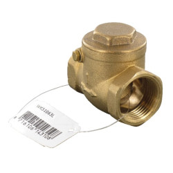 Vertikalus atbulinis vožtuvas 1" WK51063L