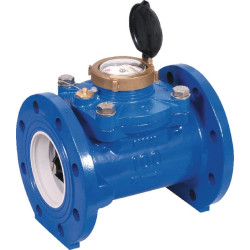 Vandens skaitiklis WST 2 1/2" WM065F