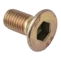 Varžtas žoliapjovės plokštei, M12 x 25 mm Z-070, Z-105, Z-125 56805036010510