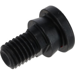 Ašmenų varžtas M12x17 10.9 00119016