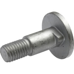 Varžtas apvalia galvute M14x46 900032770