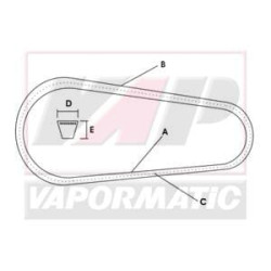 Pavaros diržo komplektas Spa2482-4 VLD4089