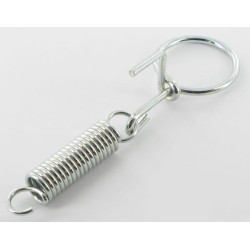 Pavasaris Busatis 3300340