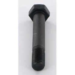 Šešiakampis varžtas M14x88 Nicolas 484846