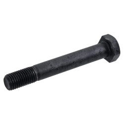 Šešiakampis varžtas M20x2,5x140 311668