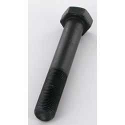 Šešiakampis varžtas M16x103 488860