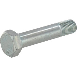 Plaktuko varžtas M12 03165 3165