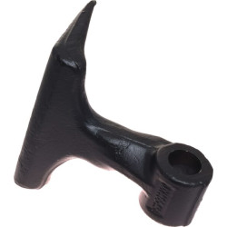 Plaktukas JX146545