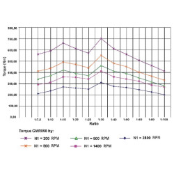 Sliekinės pavaros reduktorius I  10 GR09010