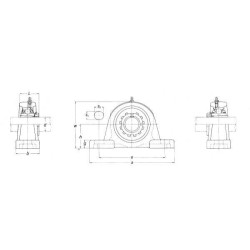 Guolių mazgas 45 mm UKP210