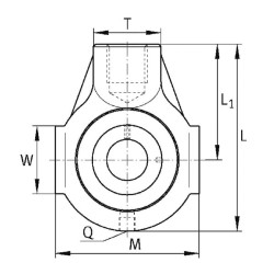 Pilnas spaustuko guolis PHEY25