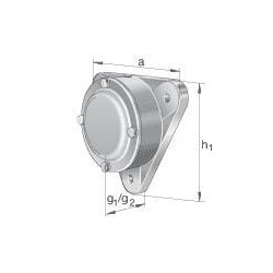 Guolio korpusas F507BL