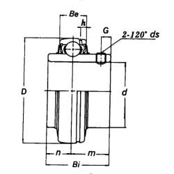 Guolio įdėklas 65x125x29mm UCX13SKF