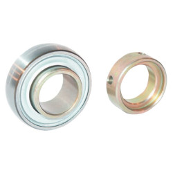 Guolio įdėklas 12x40x12mm INA/FAG RAE12XLNPPB
