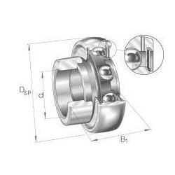 Guolio įdėklas 20x47x14mm INA/FAG GRAE20NPPB