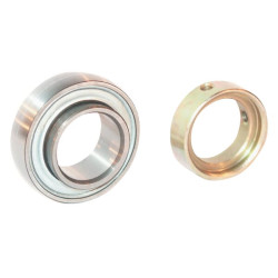 Guolio įdėklas 20x42x12mm INA/FAG RALE20NPPB